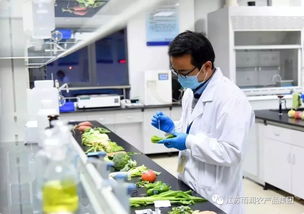 給力！2019全國(guó)農(nóng)業(yè)產(chǎn)業(yè)化龍頭企業(yè)500強(qiáng)發(fā)布，徐州這家企業(yè)憑借檢驗(yàn)檢測(cè)服務(wù)上榜