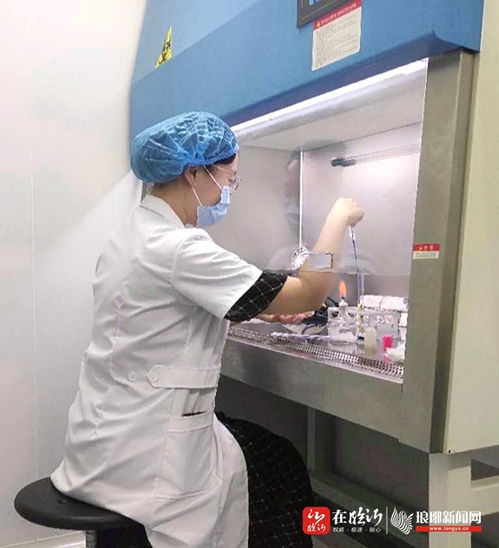 公益檢測服務助力鄉村振興 臨報優品聯合中捷檢測為農產品基地免費檢測農殘與飼料添加劑